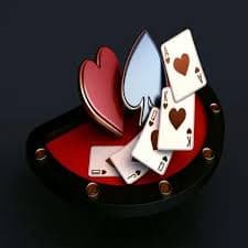 365 casino